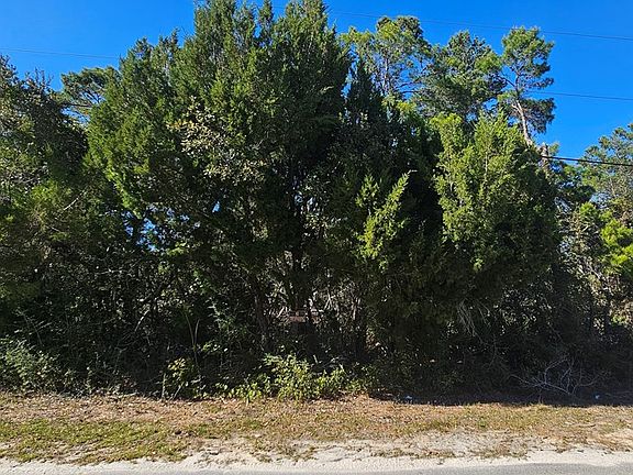 5th image of 2003 Lighthouse Rd