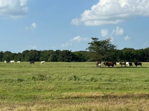 E Fm 2795, Alba, TX 75410