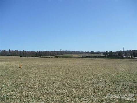 2nd image of 865 Owl Creek Rd
