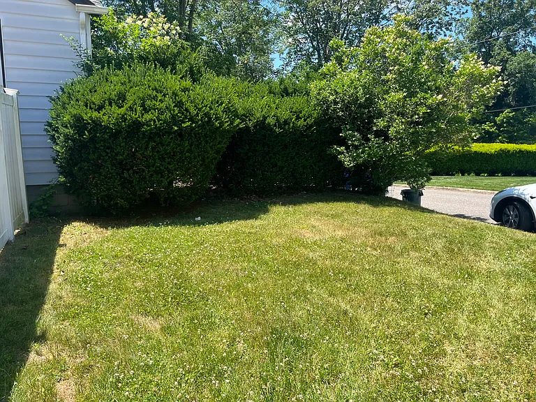 Avenue A — Photo 13