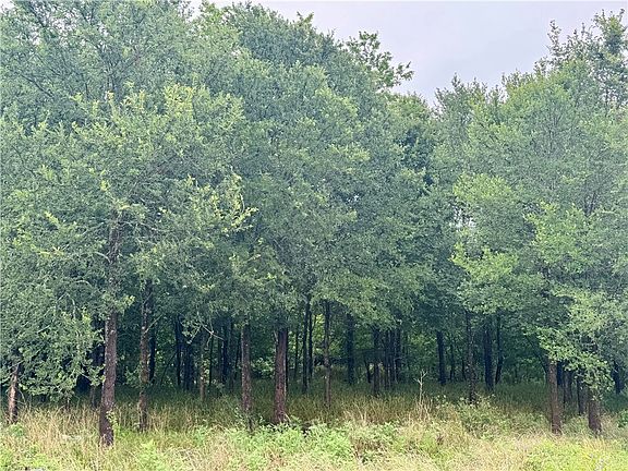 5th image of 16806 County Road 439