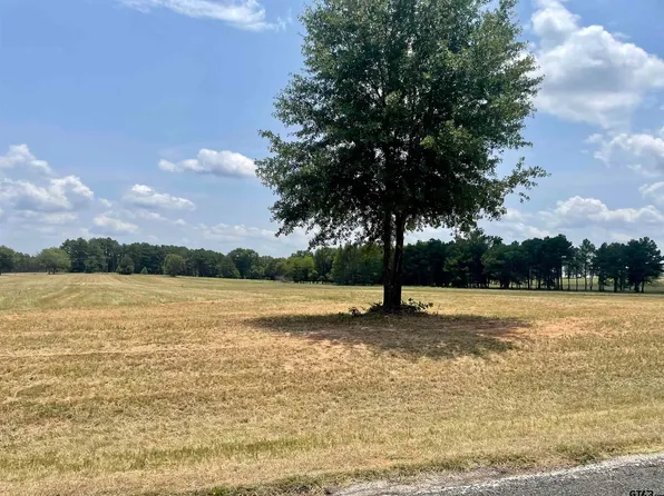 TRACT 5 Fm 1892, Frankston, TX 75763