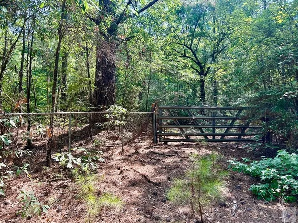 County Road 4224, Atlanta, TX 75551