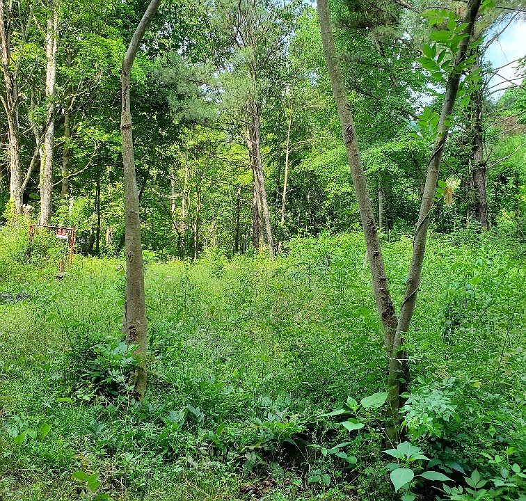 2nd image of 0 Newby Rd