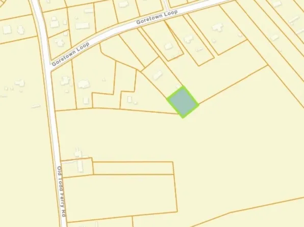 TBD Goretown Loop, Loris, SC 29569