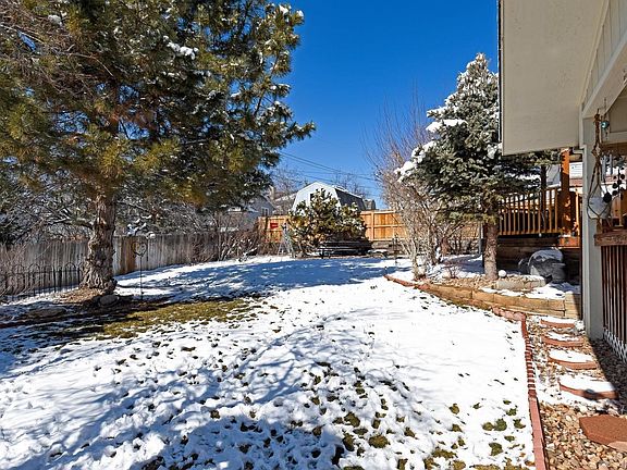 Lovely backyard space with garden area, mature pines, apple trees and more