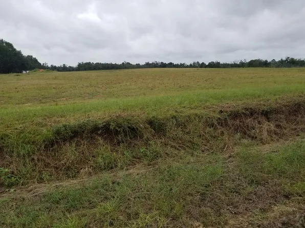 1673 B J Mixon Rd, Cottonwood, AL 36320