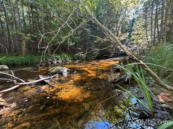 Mosquito Stub Rd, Shingleton, MI 49884