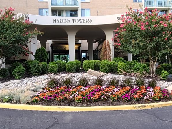 501 Slaters Ln APT 313