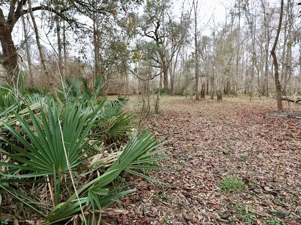 1300 Brinson Rd, Colquitt, GA 39837