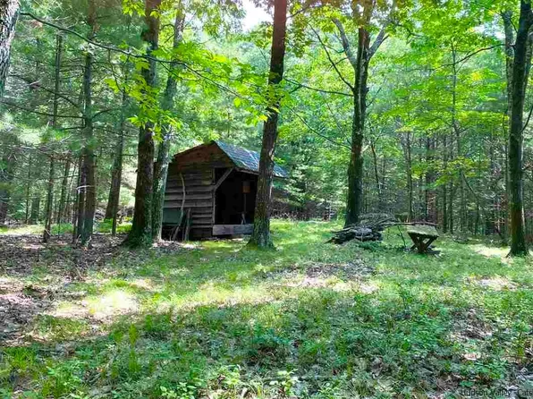 Piney Woods Rd, Woodstock, NY 12409