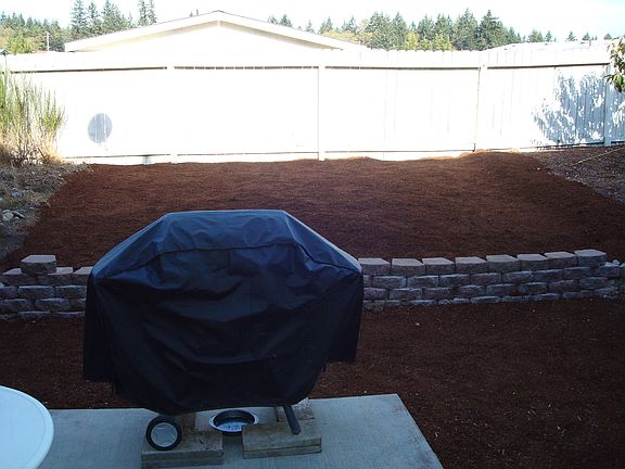 Backyard view