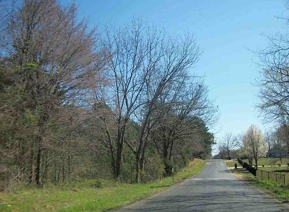 2nd image of 2198 Shiloh Rd
