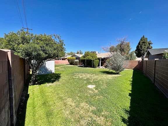 Large yard