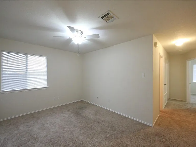 3933 Upper Passage Ln — Photo 14