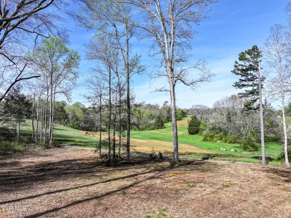 190 Treadway Rd, Chuckey, TN 37641