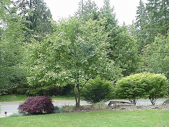 easily maintained gardens