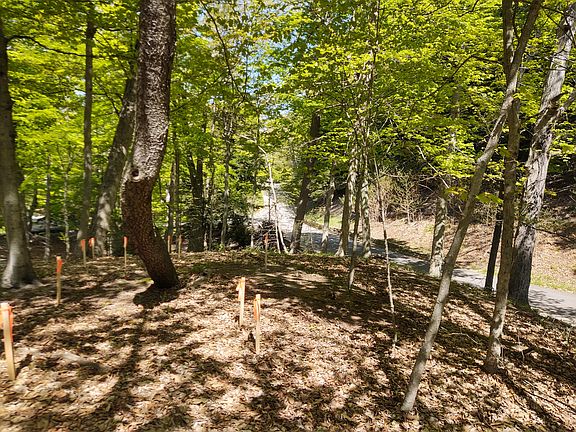 3rd image of 375 Dunegrass Circle Dr #18