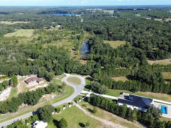 LOT 6 Tree Frog Ln Lot 6, Eustis, FL 32736