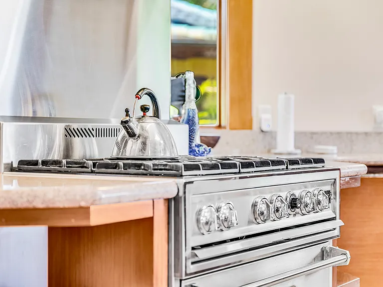 Gas range