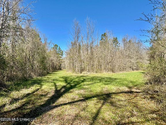 3rd image of 0 Swamp Rd