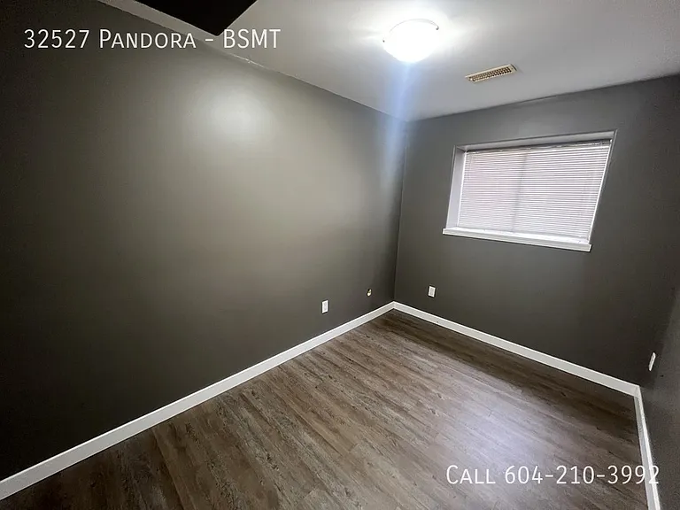 32527 Pandora Ave #BASEMENT — Photo 8