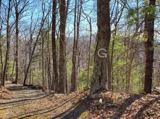 Goff Mountain Rd, Big Island, VA 24526