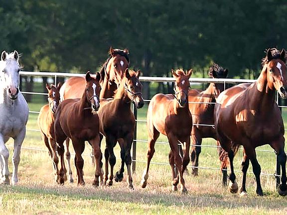 4th image of 10399 Zipper Rd