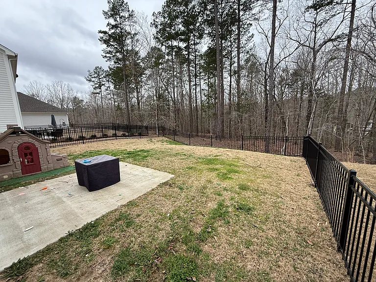 736 Turkey Oak Cv — Photo 15