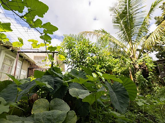 2nd image of 74 Maikai St
