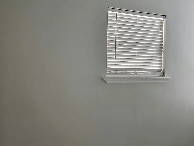 8709 Apricot St — Photo 30