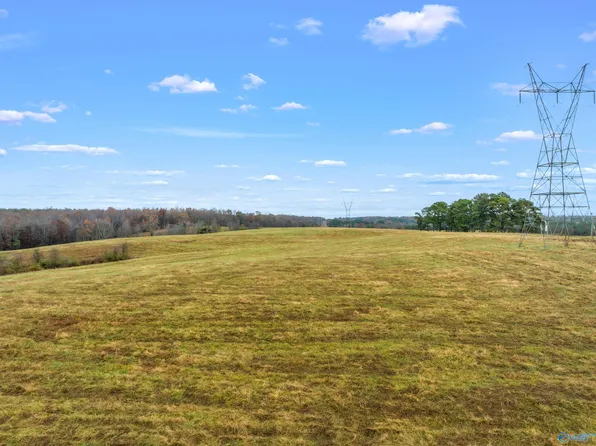 Cranford Rd, Arab, AL 35016