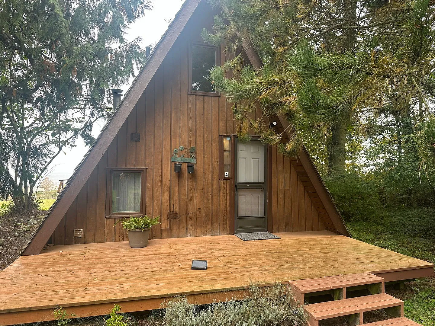 Samish Island One Bedroom Cabin — Photo 1