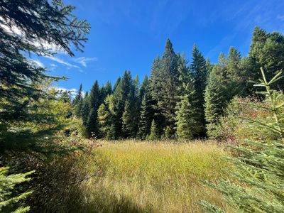 3430 Castle Rock Hill Rd, Trego, MT, 59934