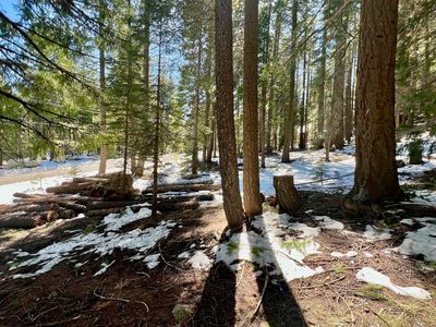 84 Yonkalla Trl, Graeagle, CA, 96103