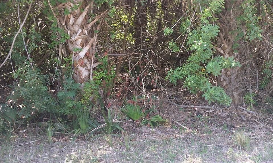 1st image of 17050 Edgewater Dr