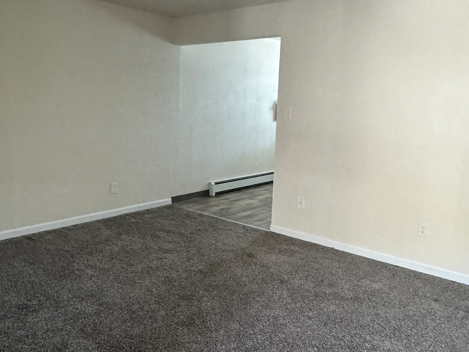 1101 Eagle St — Photo 4