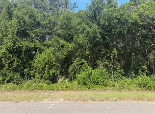 TBD GUAVA TERRACE LOT 13, OCKLAWAHA, FL 32179