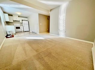 790X 211b St #Basement, Langley, BC V2Y 0K7