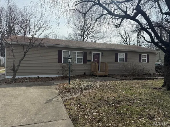 724 W Mill St, Staunton, IL 62088