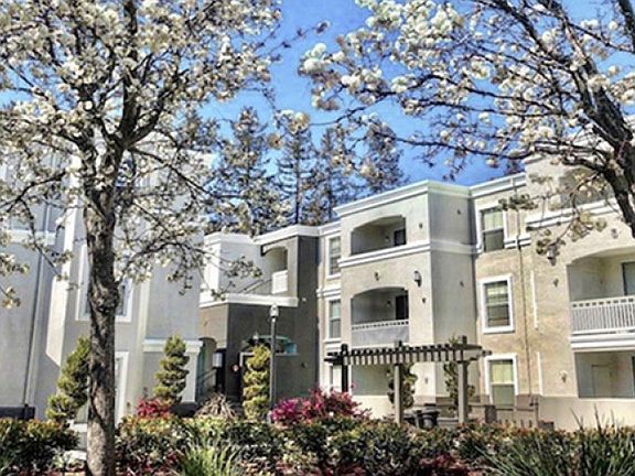 5th image of 19608 Pruneridge Ave APT 2203