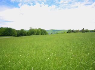 Taylor Rd, Richfield Springs, NY 13439