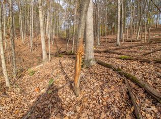 Marietta Run Rd, Amesville, OH 45711