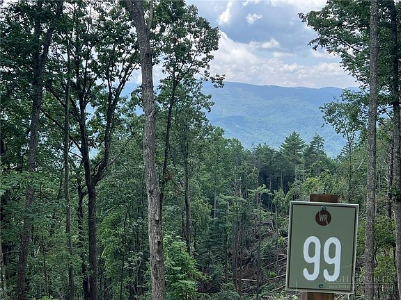 3rd image of Lot 99 Wildcat Wilderness Parkway