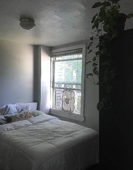Western Ave — Photo 8