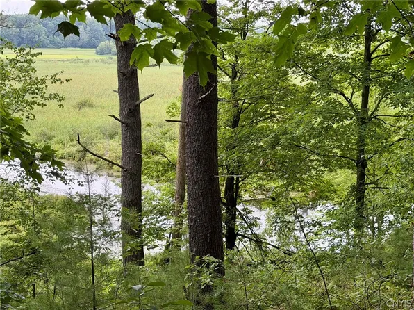 S Hammond Rd Lot 1, Hammond, NY 13646