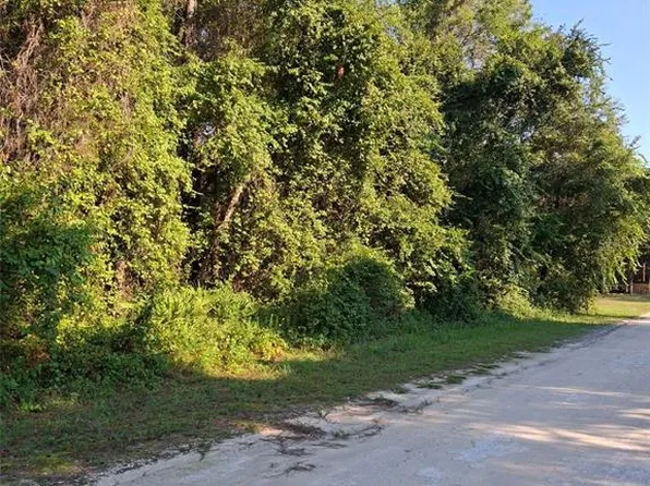 13414 Canyon Swallow Rd Lot 6, Brooksville, FL 34614