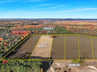 0 Niemi Rd PARCEL E, Kaleva, MI 49645