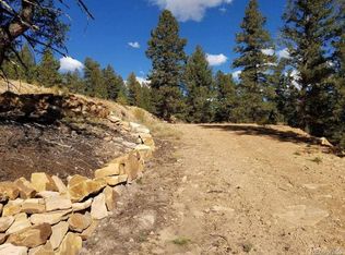 1228 Middle Fork Vis, Fairplay, CO 80440