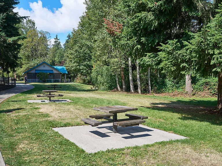 Picnic area at Martha Lake Park